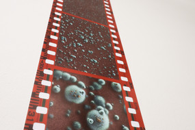 Ein großes Bild eines Foto-Negativ-Films mit Motiven, die an Mikroben erinnern.