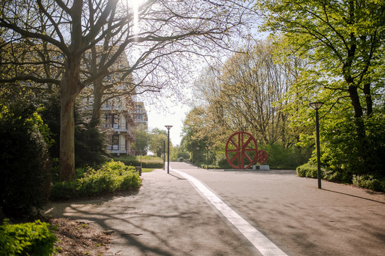 Ein von Bäumen gesäumter Weg im Sonnenschein, im Hintergrund links ein großes Gebäude.