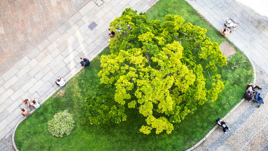 Das Bild zeigt eine urbane Grünanlage mit Wiese und Bäumen von oben, drumherum sitzen Menschen.