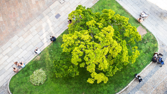 Urbanes Grün Das Bild zeigt eine urbane Grünanlage mit Wiese und Bäumen von oben, drumherum sitzen Menschen.