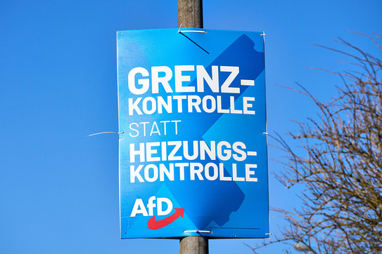 Foto: Ein blaues Wahlplakat hängt an einem Laternenmast.