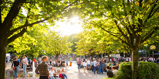 Sonne scheint durch die Wipfel der Bäume auf dem Nordcampus beim Sommerfest