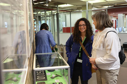 Zwei Frauen schauen sich Exponate in einer Vitrine an.