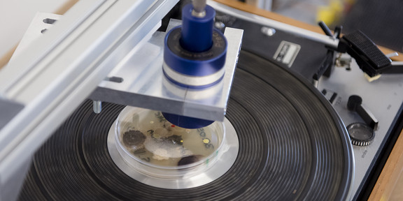 A record player with a bacterial culture on it.
