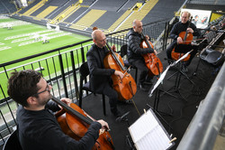 Ein Streichquartett, das auf der Tribüne des BVB-Stadions spielt.