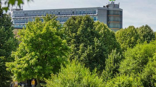 Das Mathematikgebäude mit grünen Bäumen im Vordergrund.