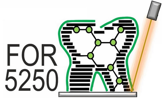 Working group FOR5250 The image shows a logo with an indicated drawn tooth and black lettering