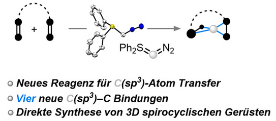 Die Grafik zeigt eine chemisch illustrierte Gleichung eines vermutlich chemischen Prozesses. Unter der Gleichung stehen drei Stichpunkte: 1. Neues Reagenz für C(Sp3)-Atom-Transfer, 2. vier neue C(SP3)-C Bindungen, 3. direkte Synthese von 3D spirocyclischen Gerüsten.