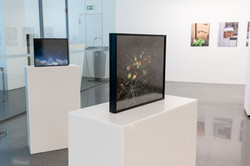 Ausstellung „Laufende Beobachtungen“ In einer Ausstellung hängen Bilder an einer weißen Wand und es stehen Kunstobjekte auf Podesten.