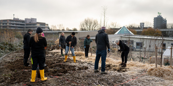 Foto: Mehrere Personen graben in der Erde bei einer Baum-Pflanzaktion. Im Hintergrund sieht man den Mathetower der TU Dortmund und das Gebäude EF50.