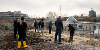 Foto: Mehrere Personen graben in der Erde bei einer Baum-Pflanzaktion. Im Hintergrund sieht man den Mathetower der TU Dortmund und das Gebäude EF50.