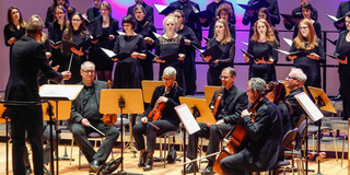 Symbolbild Orchester Ein Orchester spielt auf einer Bühne.
