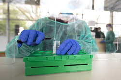 Test personnel reach for a Corona test tube containing several test samples