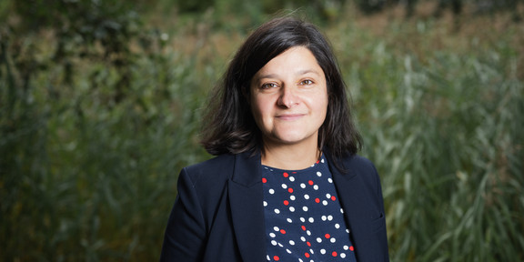 A portrait picture of a woman against a green background, the woman is Prof. Mona Motakef.