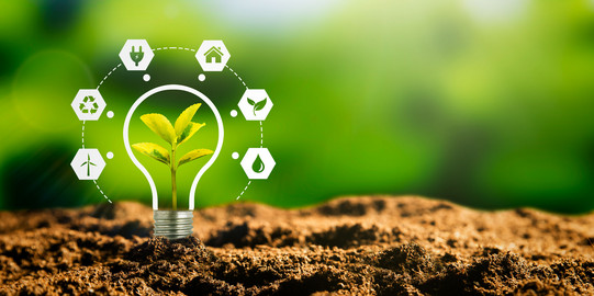 A light bulb is sketched around a small plant germ in brown earth. Icons float around it in a circle, showing, for example, a house, a windmill or a power plug.