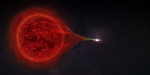 Red Giant Artistic representation of the transfer of material from a red giant to a white dwarf.