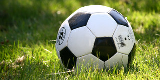 A leather ball lies on grass