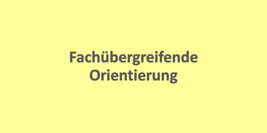 Graue Schrift auf gelbem Hintergrund: Fachübergreifende Orientierung