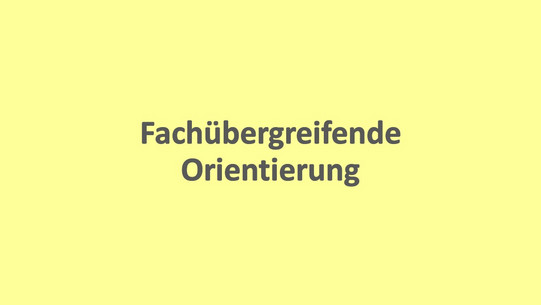 Graue Schrift auf gelbem Hintergrund: Fachübergreifende Orientierung