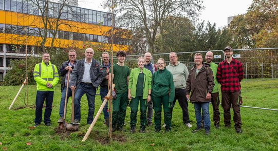 Gruppenbild von 12 Personen, die auf einer Wiese mit einem gerade eingepflanzten jungen Zierapfelbaum stehen. Links in der Gruppe stehen Prorektor Finanzen Gerhard Schembecker mit einem Spaten, Rektor Manfred Bayer mit einem Zaunpfahlhammer und Kanzler Markus Neuhaus ebenfalls mit einem Spaten.