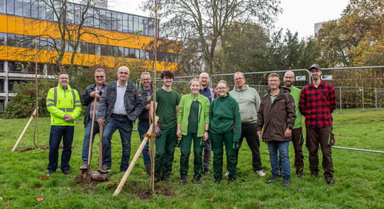Gruppenbild von 12 Personen, die auf einer Wiese mit einem gerade eingepflanzten jungen Zierapfelbaum stehen. Links in der Gruppe stehen Prorektor Finanzen Gerhard Schembecker mit einem Spaten, Rektor Manfred Bayer mit einem Zaunpfahlhammer und Kanzler Markus Neuhaus ebenfalls mit einem Spaten.