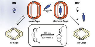 Graphic Nanocage There is a graphic with different molecules on a white background.