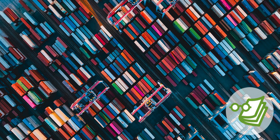 Foto: Eine Luftaufnahme zeigt bunte Containerreihen und Kräne.
