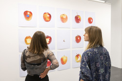 Zwei Besucherinnen betrachten eine Fotoinstallation, die verschiedene Äpfel zeigt.
