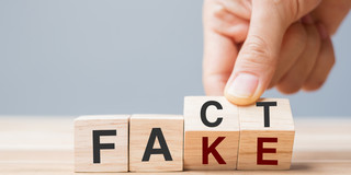 Four wooden cubes lined up in a row make the words "Fact" and "Fake".