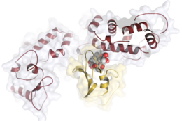 Grafische Darstellung eines Wirkstoffmoleküls im Komplex mit einem krebsrelevanten Zielprotein