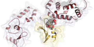 Grafische Darstellung eines Wirkstoffmoleküls im Komplex mit einem krebsrelevanten Zielprotein