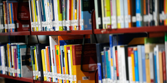 Buecherregal Books are on the shelf in the library.