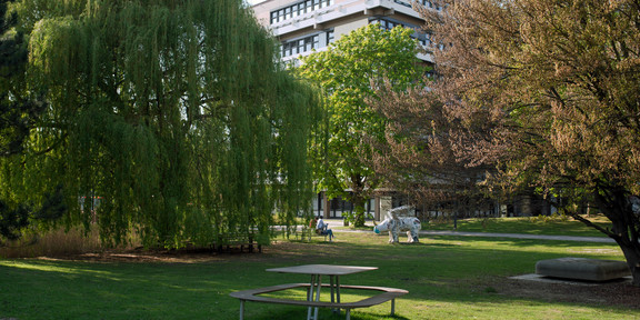 A meadow and many trees in front of a TU building