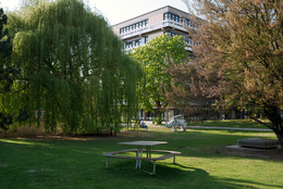 Eine Wiese und viele Bäume vor einem TU-Gebäude