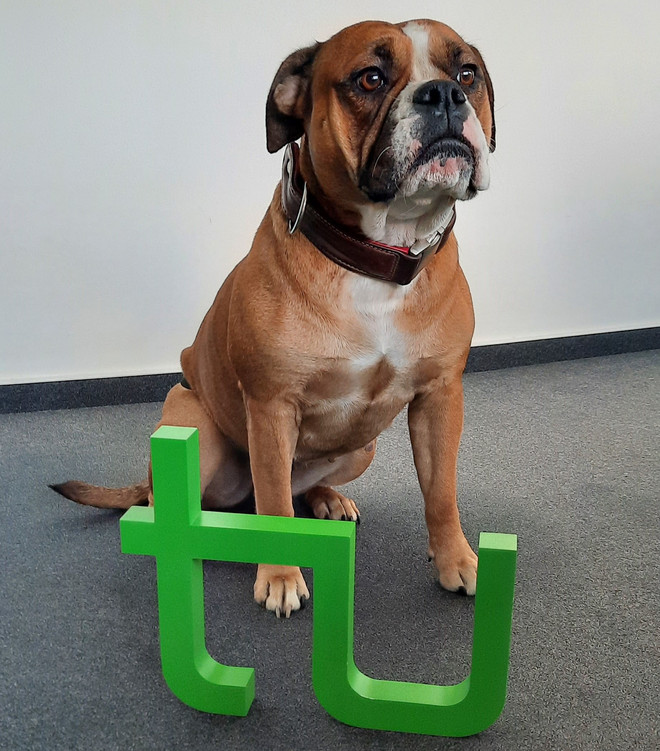 Ein Hund sitzt hinter einem großen grünen TU-Logo aus Holz.