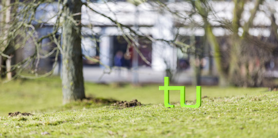 TU Logo auf einer Wiese neben einem Baum 