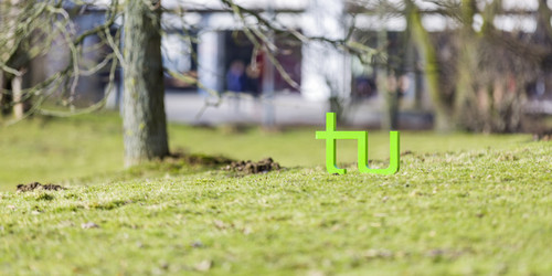 TU Logo auf einer Wiese neben einem Baum 