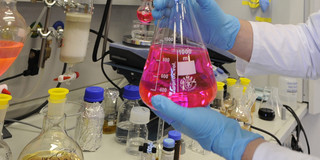Hands of a scientist holding an Erlenmeyer flask with a pink liquid in a lab