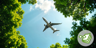 Foto: Ein Flugzeug fliegt über grüne Baumwipfel in einem klaren blauen Himmel.