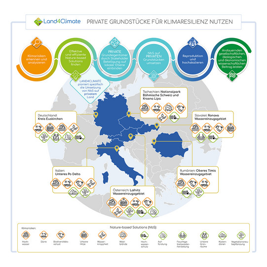 Infografik