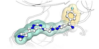 A graphic representation of the molecular structure of a tumor.