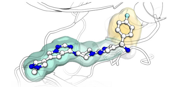 Eine graphische Darstellung des molekularen Aufbaus eines Tumors.