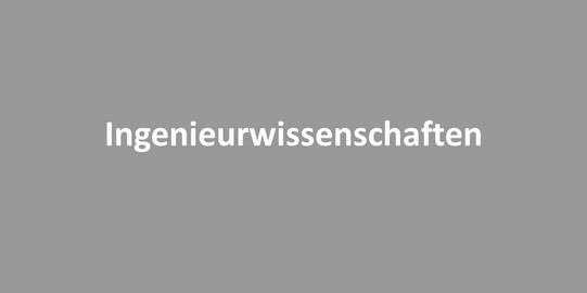 Weißer Schriftzug auf grauem Hintergrund: Ingenieurwissenschaften
