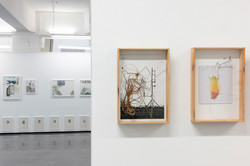 Ausstellung „Laufende Beobachtungen“ In einer Ausstellung hängen Bilder an einer weißen Wand.