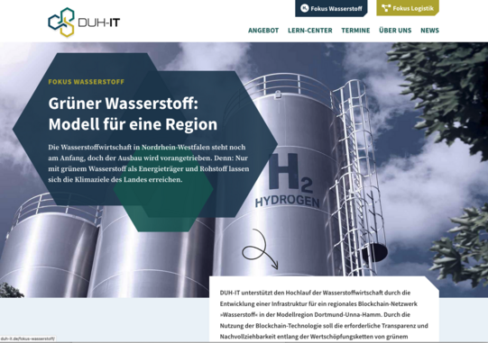 Screenshot Website