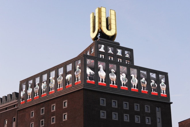 A big U on the roof of a building with a row of holographic tiles showing pigeons.