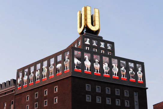 Dortmunder U Ein leuchtendes U auf dem Dach eines Gebäudes mit einer Reihe holografischer Videowände, auf denen Tauben zu sehen sind.