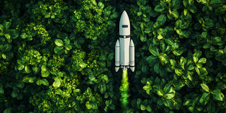 Foto: Rakete auf grünem Pflanzenhintergrund mit Blättern