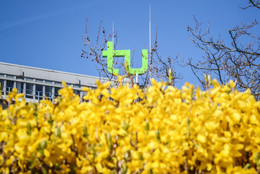 April Das TU Logo auf dem Mathetower hinter gelben Blumen mit blauem Himmel