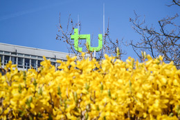 Das TU Logo auf dem Mathetower hinter gelben Blumen mit blauem Himmel